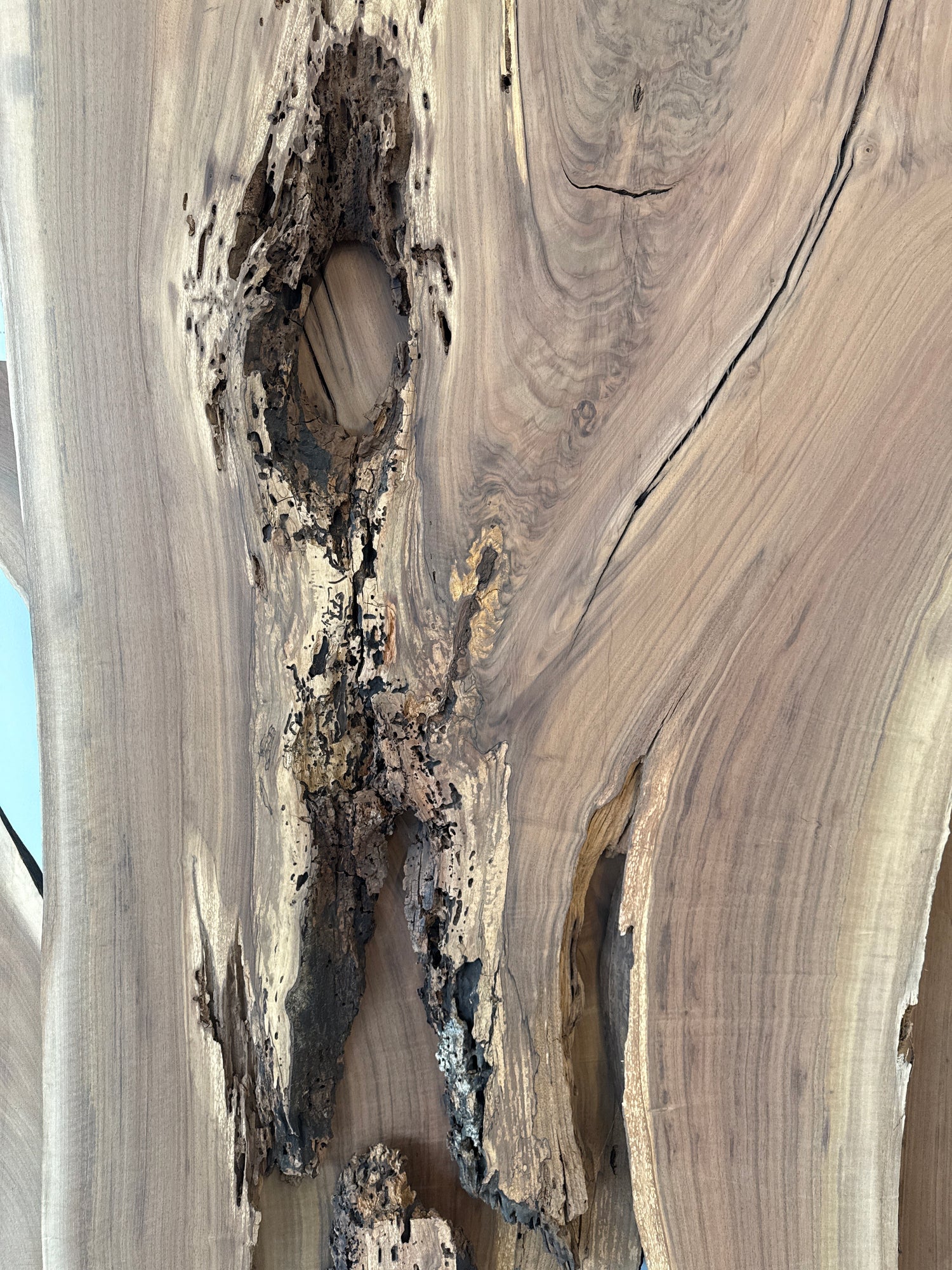 Black Walnut River Table Set Up